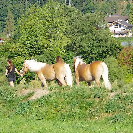 Διαμέρισμα Haus Breiten *